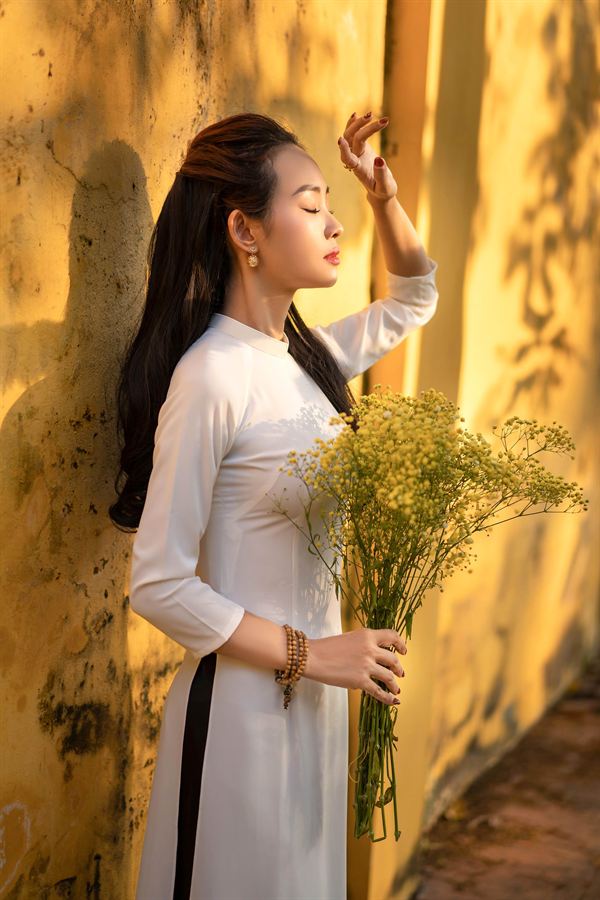 Tường vàng Hà Nội trong nắng chiều — Thúy Tô Studio