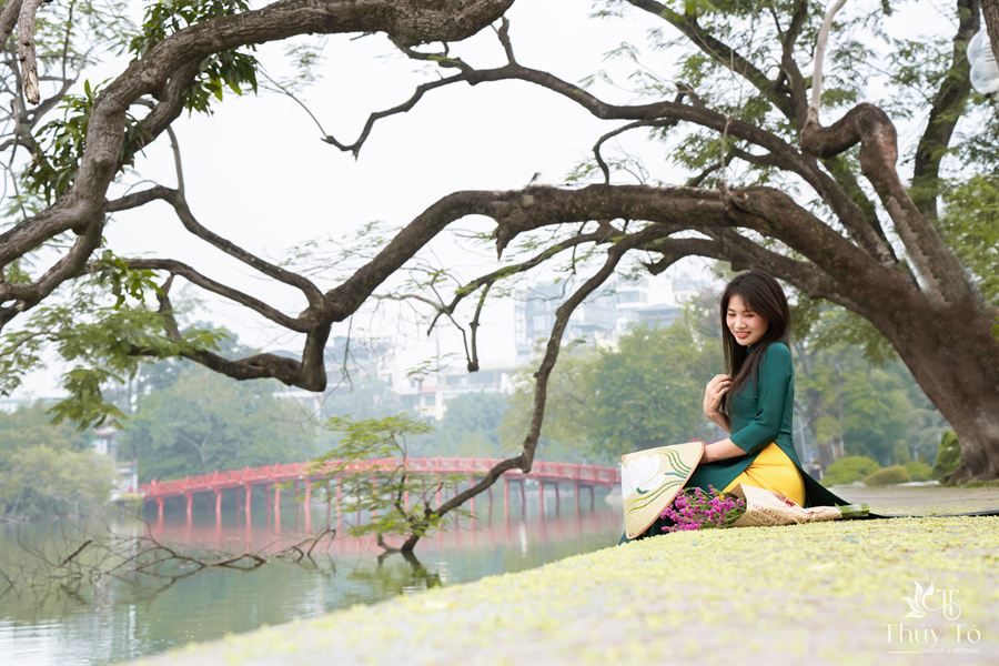 Toàn cảnh cành cây cổ thụ và cầu Thê Húc — Thúy Tô Studio