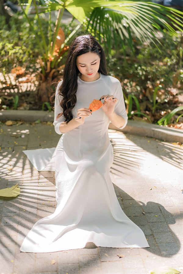 Nắng xuyên tán lá bên đài phun nước — Thúy Tô Studio